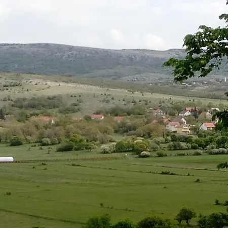 Dobri Markan Livno